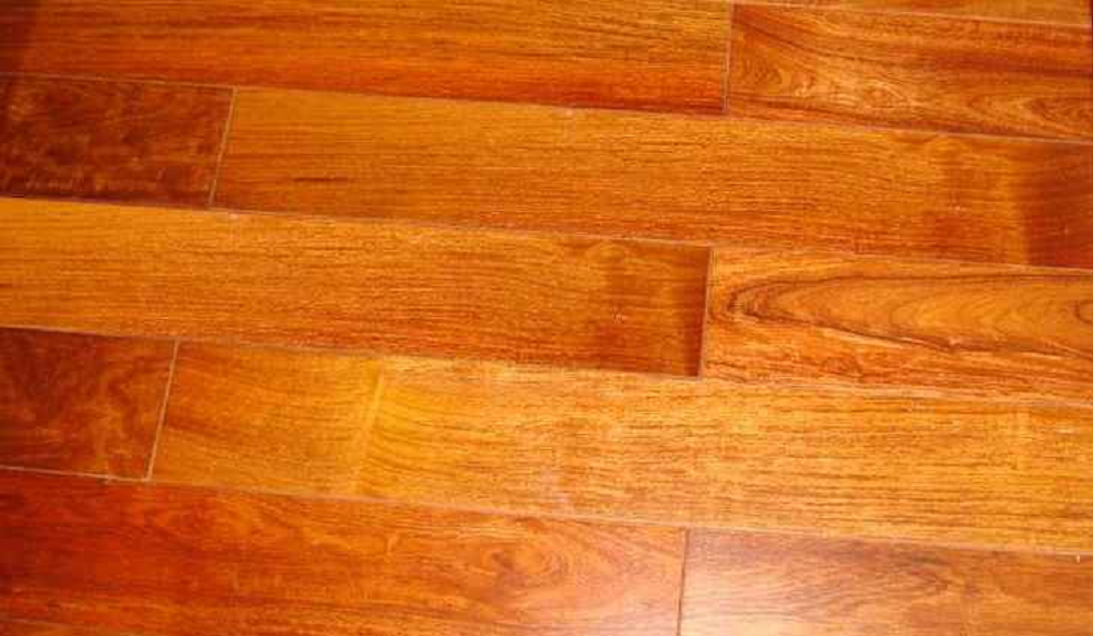 Sàn gỗ tự nhiên - Gỗ Gõ đỏ Nam Phi