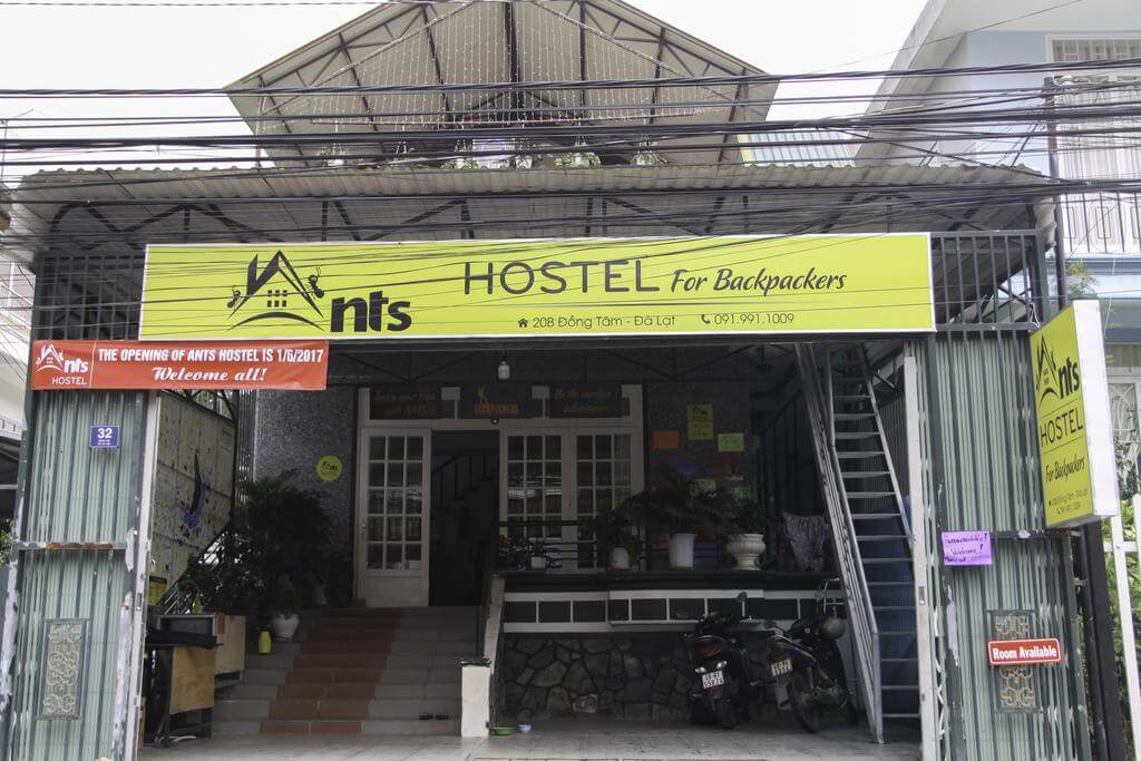 Ants Hostel - Khách sạn giá rẻ Đà Lạt