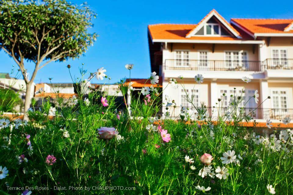 Dalat Terrasse Des Roses Villa - Khách sạn 4 sao Đà Lạt