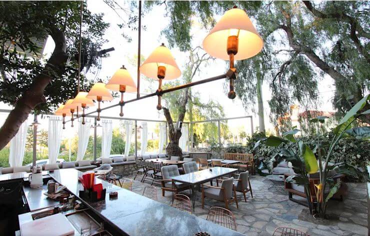 Quán Cà phê sân vườn - Một không gian tràn ngập ánh sáng, gió mát và cây xanh, chắc chắn sẽ giúp bạn cảm thấy thư giãn và yên bình. Hãy đến và thưởng thức những cốc cà phê thơm ngon tại quán cafe sân vườn của chúng tôi!