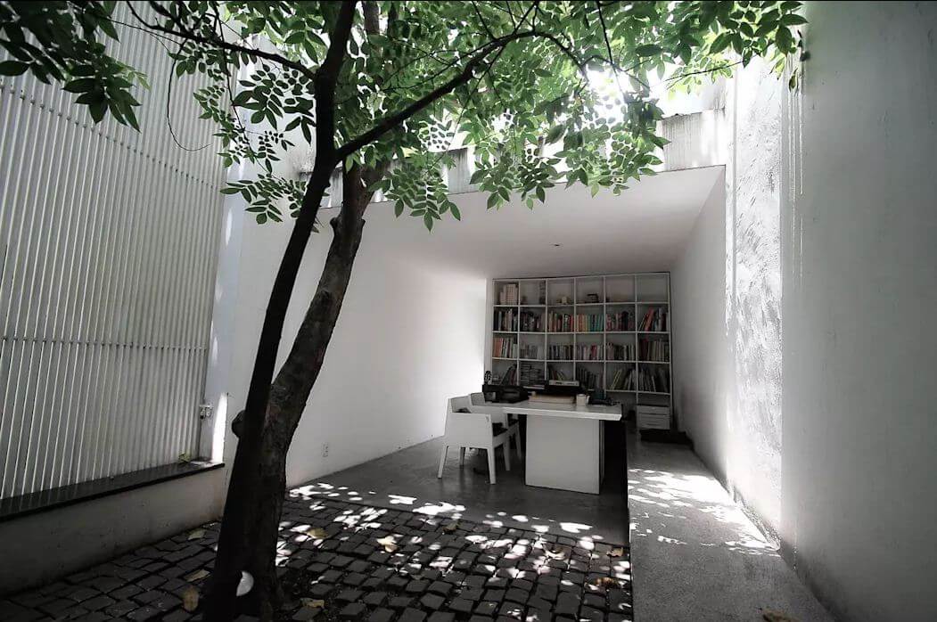 Sử dụng cây bóng mát - Không gian xanh trong nhà